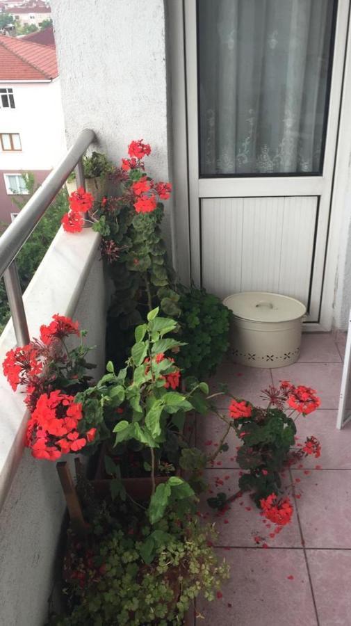 Single Room, одноместная комната в доме, D'une Personne, Individual * Provincia di Istanbul