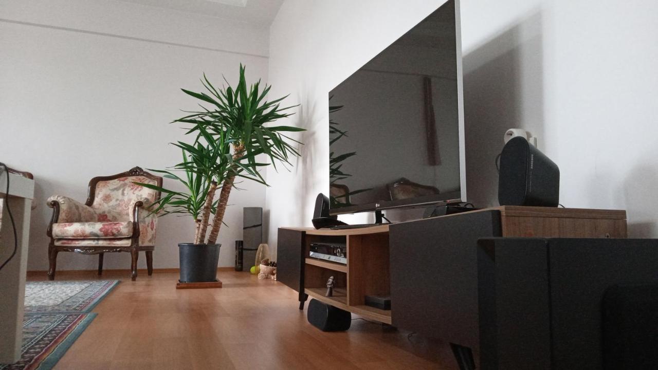 Single Room, одноместная комната в доме, D'une Personne, Individual B&B